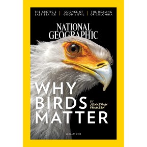 Why Birds Matter